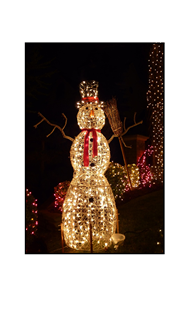 Christmas Lighted Snowman