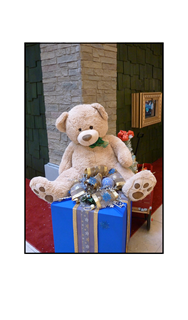 Christmas Teddy Bear sitting on Blue Box