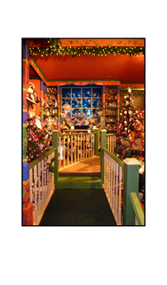 Christmas Toy Store