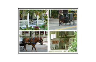 Cape May Porches and Horses Collage