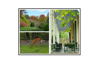Country Porch, Garden & Deer Collage