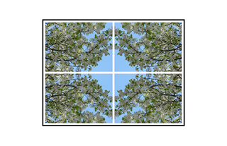 Symmetric Spring Bloom Collage