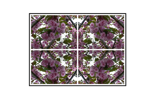 Symmetric Cherry Blossom with green pattern