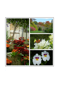 Longwood Gardens Collage