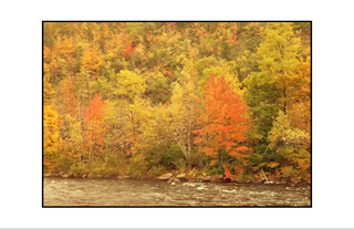 Pocono Leigh River in Autumn