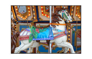 Merry-Go-Round Brown Mane Blue_Saddle Horse