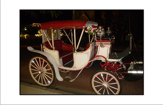 Cape May Cinderella Carriage