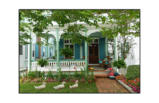 cottage with three ducks walking across lawn