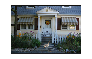 goose inviting you into storybook dollhouse