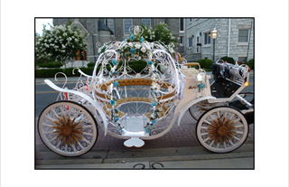 Cinderella wedding coach