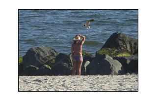 Gull fying over woman holding bonnet