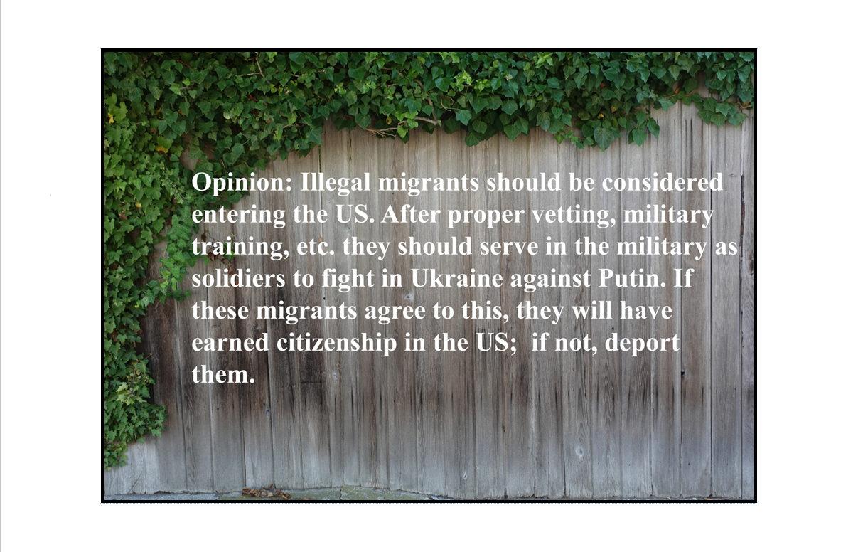 allow illegal migrants to enter the United States if they agree to fight in Ukraine against Putin