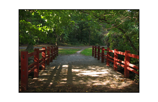 Clove Lake red bridge to dreams