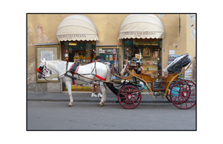 Italian horse and carriage