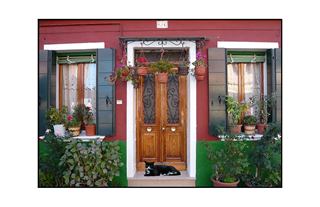 house in Italy with plants and black cat