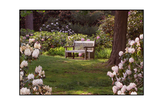 Longwood Garden Bench