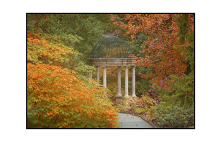 Autumn Gazebo surrounded by autumn leaves