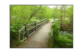 Snug Harbor wood bridge over pond