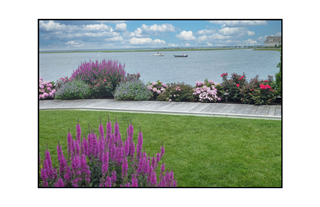 Stone Harbor walkway with lavender and boats