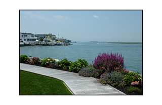 Stone Harbor view walkway with lavender