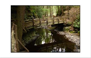 Reflecting Bridge