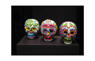 colorful numb skulls