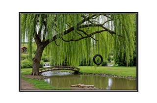 tire swing from weeping willow tree with stream and bridge