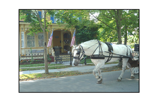 Horse pulling carriage through quiet town