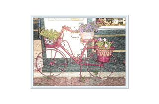 Bicycle with Flower Pots