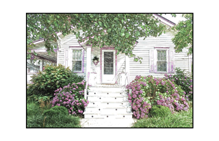 Pink Framed House with pink hydrangeas