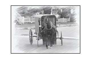 Amish Horse and Carriage