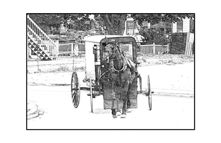Amish Horse and Carriage