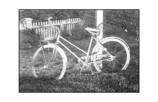 Garden Bicycle