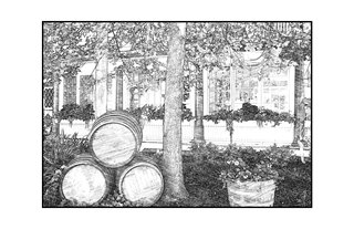 Wine Barrels