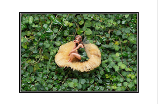 fairy sitting on mushroom