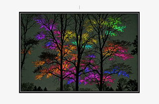 colorful glowing trees of the night