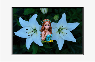 white lily flower fairy with small yellow flowers