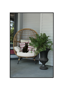 black cat sitting on porch chair