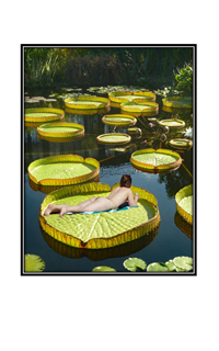 almost nude girl in lily pad