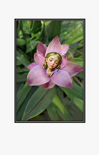 sleeping fairy in purple flower