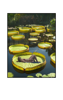 bikini girl lying on a lily pad
