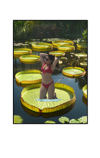 girl wearing red bikini on lily pad