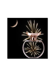 fireworks in a rosy perfume bottle with moon