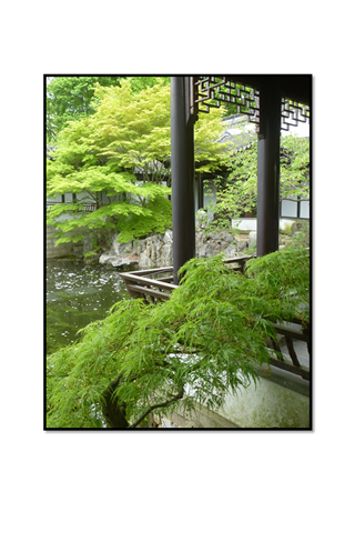 Asian garden with pond and small trees