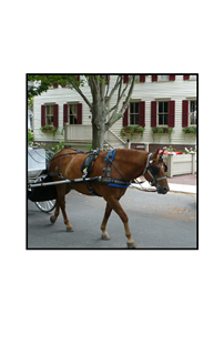 Red Horse pulling Carriage