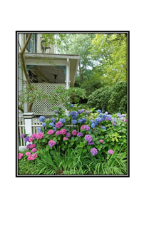 southern porch with colorful hydrangeas