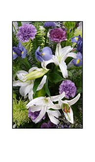 Purple Carnations, Iris and White Lilies