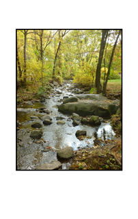 Autumn stream with big rock