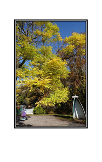 autumn yellow tree with boat and figurine