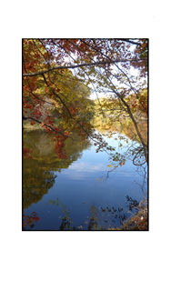 Clove Lake, Red Tree and Blue Sky Reflections